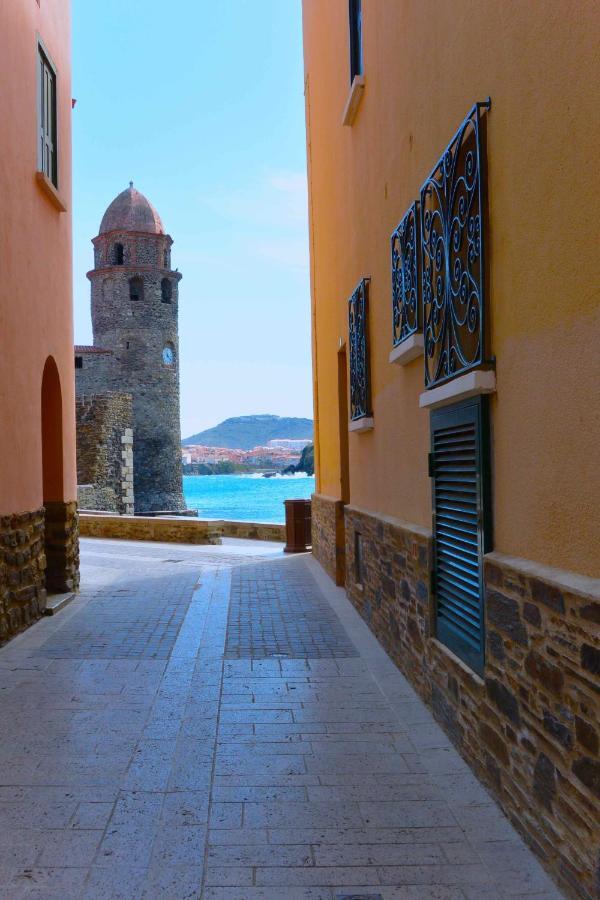 Studio Vue Mer Et Cap Canet-en-Roussillon Bagian luar foto